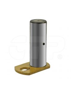 Image of CTP-4197011911