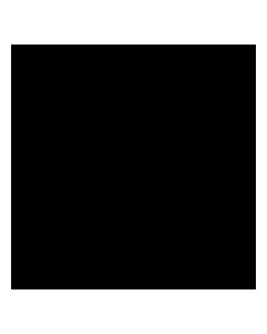 Image of CTP-6Y3955